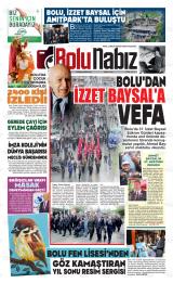 BOLU NABIZ