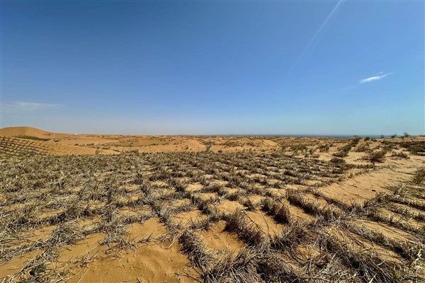 Çin’de Kum Kontrolünde Uluslararası İş Birliği Örneği