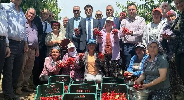 Avrupa’nın Gözdesi Çeribaşı Kirazı Tescillendi