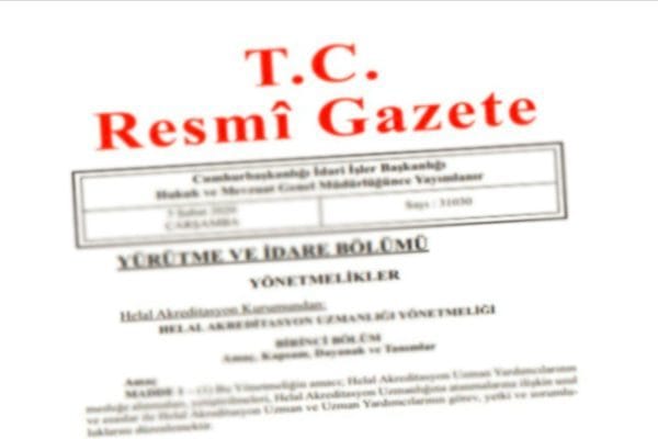 Resmi Gazete’de Akademik Düzenleme