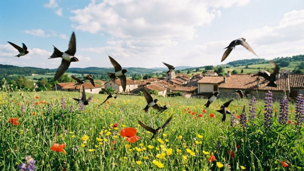 Yeşillikler üzerinde hızla uçan kalabalık kırlangıç sürüsü, sosyal çevrenin genişlemesini ve bereketi ifade eder.