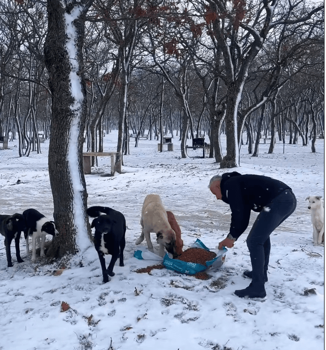 Çerkezköy’de Can Dostlara Kış Desteği