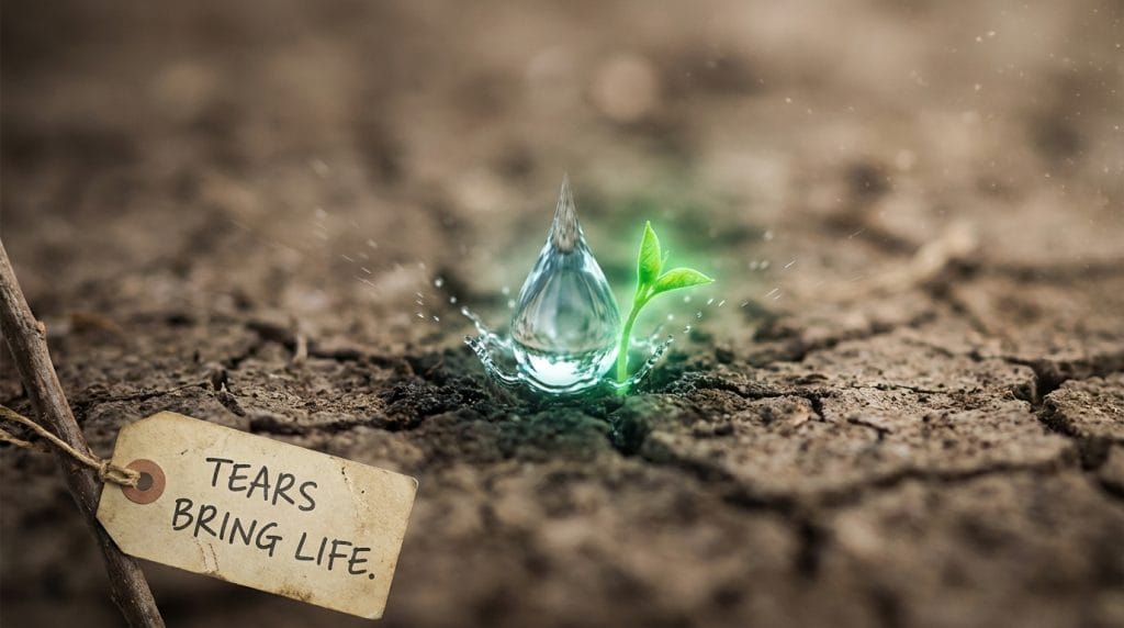 Gözyaşının berekete ve yeni başlangıçlara dönüşmesini simgeleyen filizlenen tohum görseli.