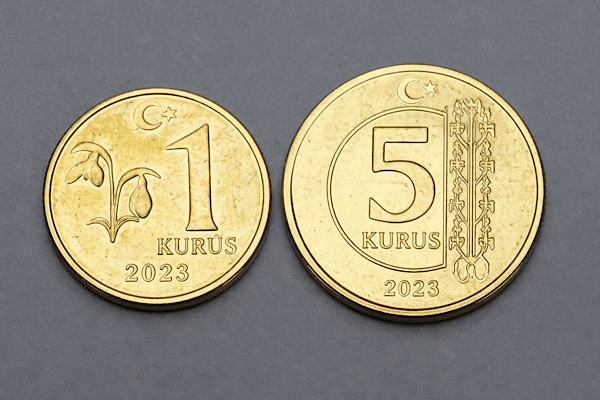 1 ve 5 Kuruş İddiaları Gerçeği Yansıtmıyor