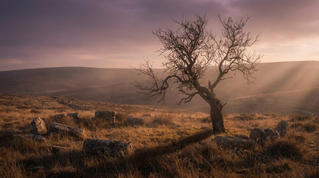 Rüyada kurumuş badem ağacı görmek, hayal kırıklığı, enerji kaybı veya yanlış kararlar konusunda dikkat edilmesi gerektiğine işaret eder.