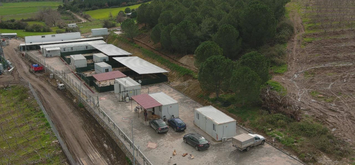 Çanakkale’de Sahipsiz Hayvan Mesaisi Hedefi Aştı