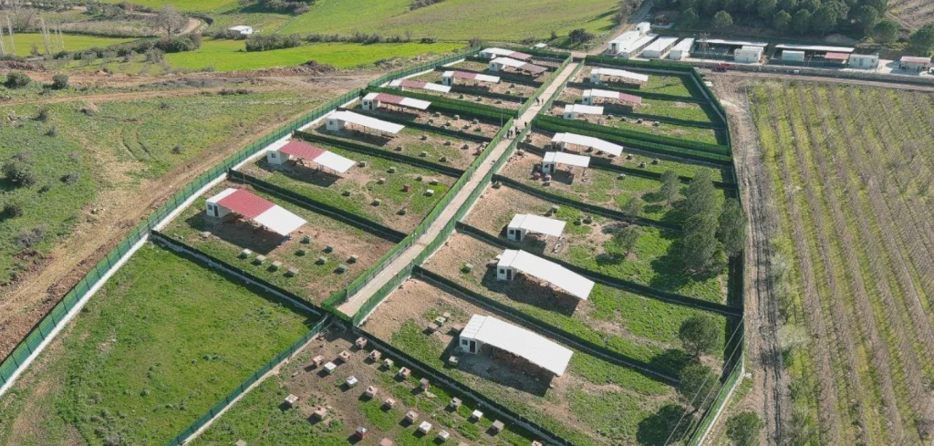 Hedeflerin %125 oranında aşıldığı Çanakkale sahipsiz hayvan çalışmaları kapsamında hayata geçirilen, doğa ile iç içe ve yüksek kapasiteli hayvan bakım tesisi.