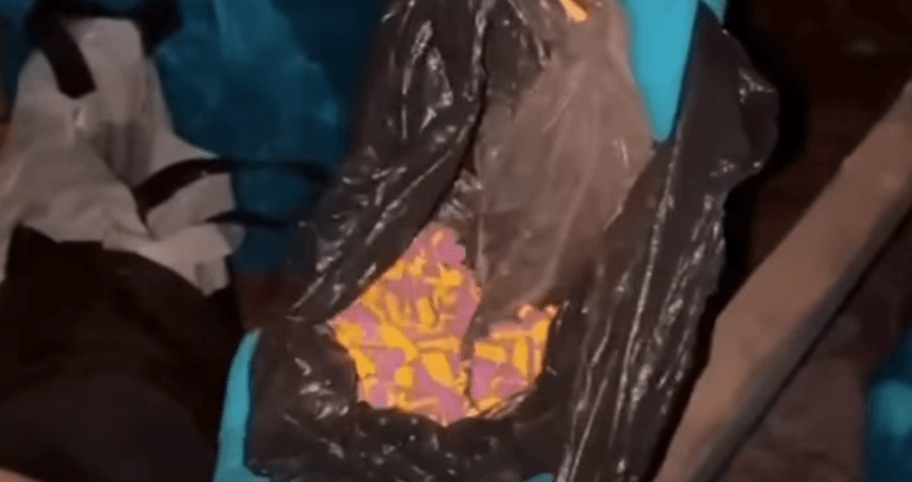 Çorlu Zafer Mahallesi'nde bir eve yapılan baskında ele geçirilen 26 bin 730 adet sentetik ecza hapı.