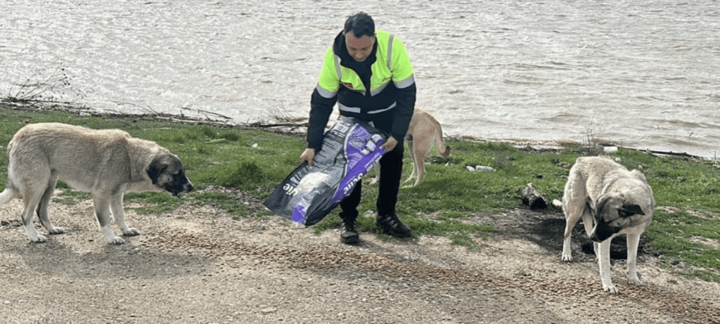Edirne Belediyesi Veteriner İşleri Müdürlüğü personeli, taşkın bölgesindeki güvenli alanlara sığınan sokak köpeklerine mama dağıtırken.
