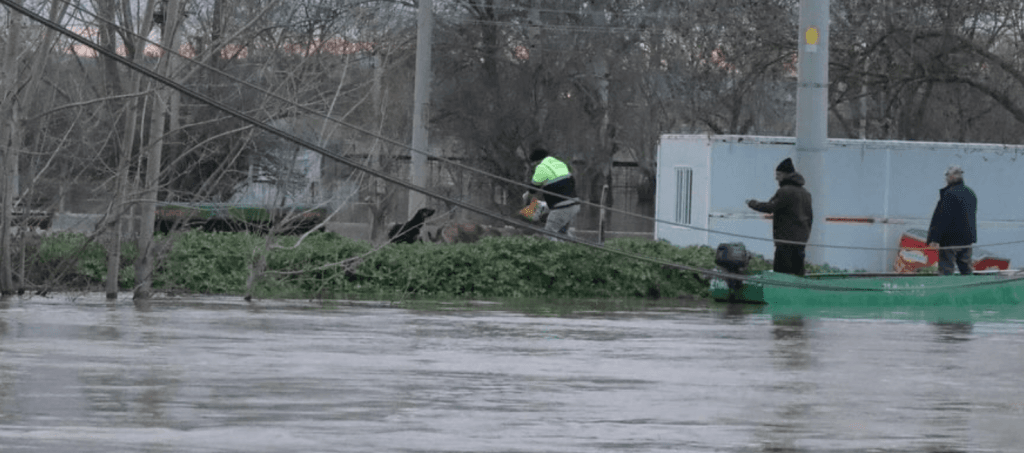 Edirne'de nehir taşkını nedeniyle ulaşılamayan Bosnaköy bölgesine botla ulaşan ekiplerin can dostlarımızı besleme çalışması.