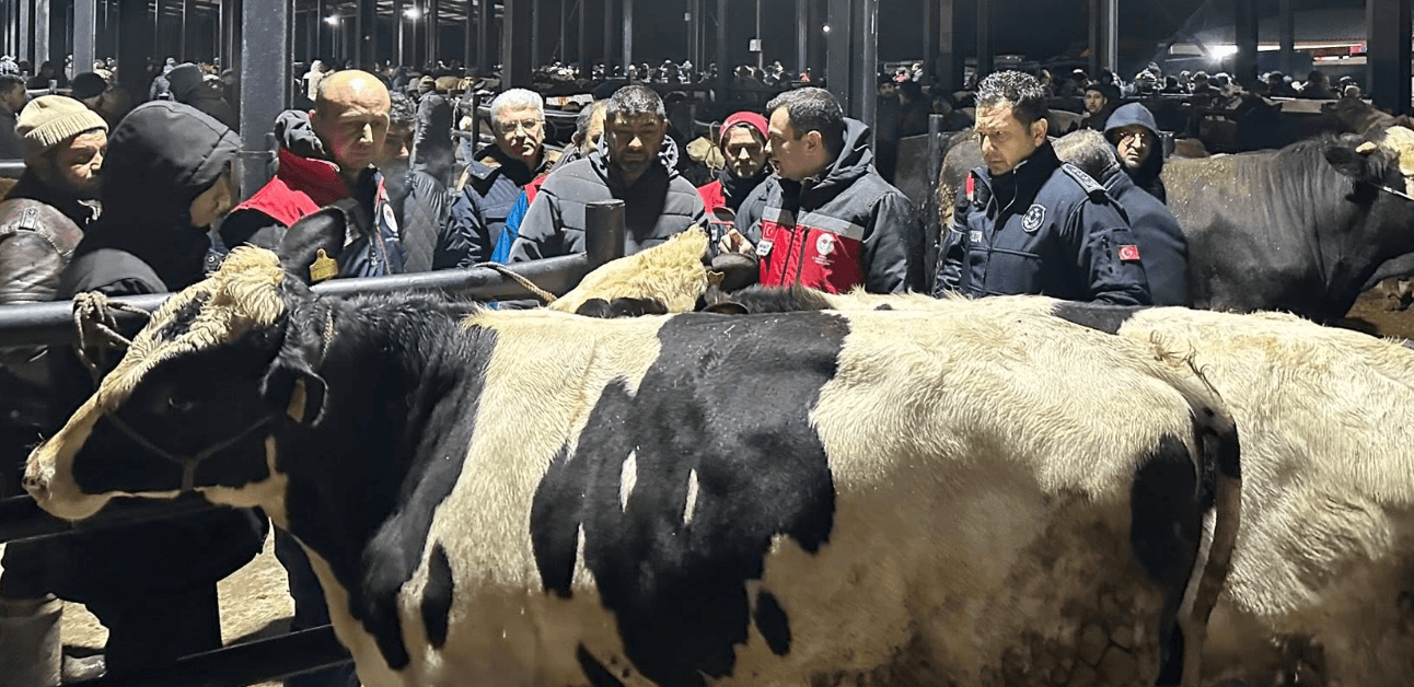 Havsa Canlı Hayvan Pazarı’nda Sıkı Denetim Mesaisi