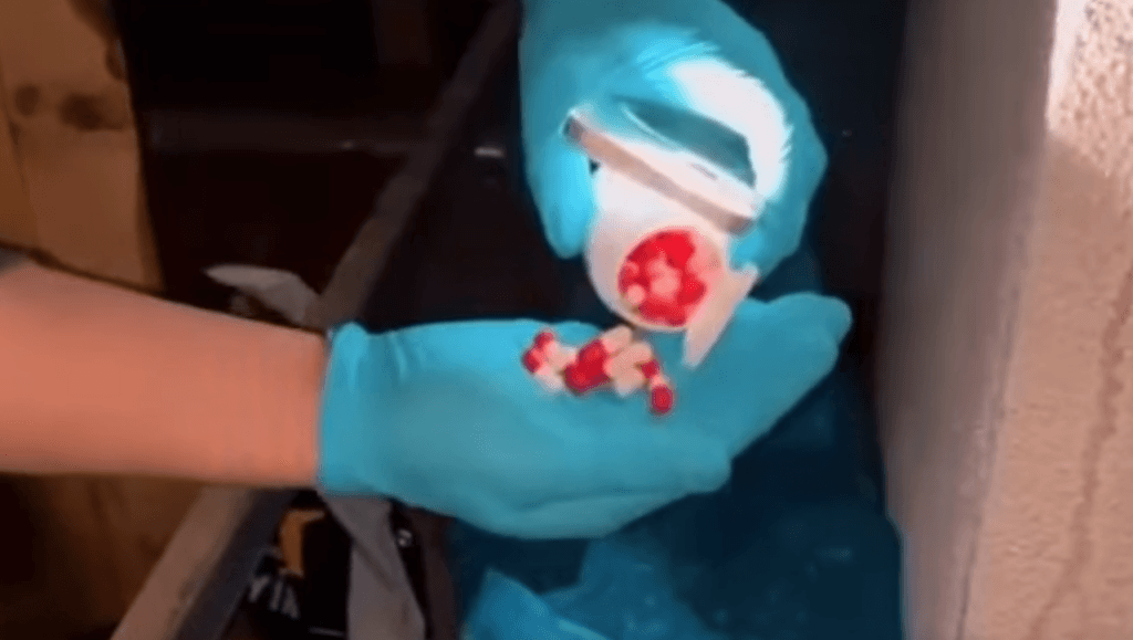 Tekirdağ Narkotik birimlerince ele geçirilen 253 gram esrar maddesi ve operasyon detayları.