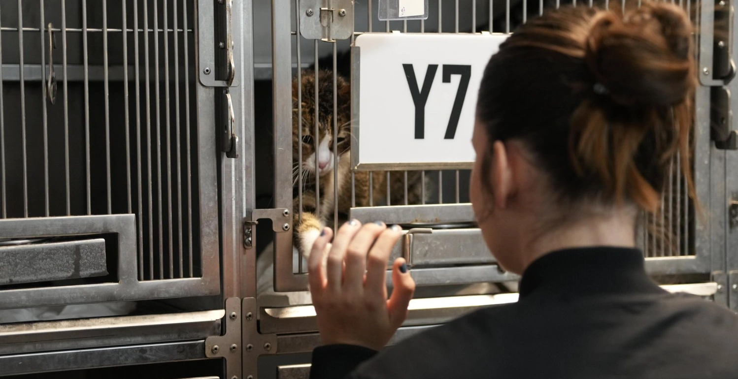 Çorlu’da Gençlerden Can Dostlara Anlamlı Ziyaret