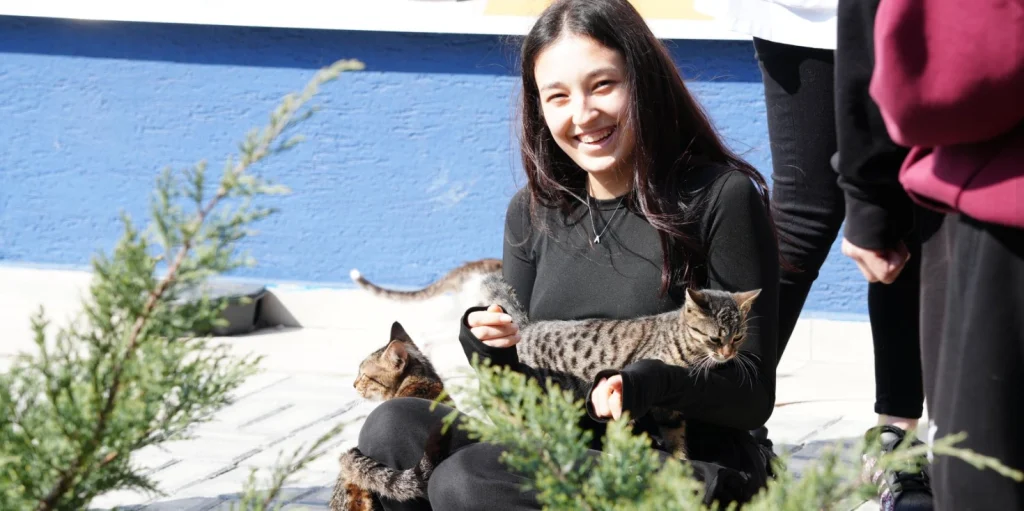 Çorlu Belediyesi Hayvan Bakımevi'ne anlamlı ziyaret! Gazi Mustafa Kemal Atatürk Spor Lisesi öğrencileri can dostlarla buluştu. Detaylar ve ziyaret görüntüleri haberimizde.