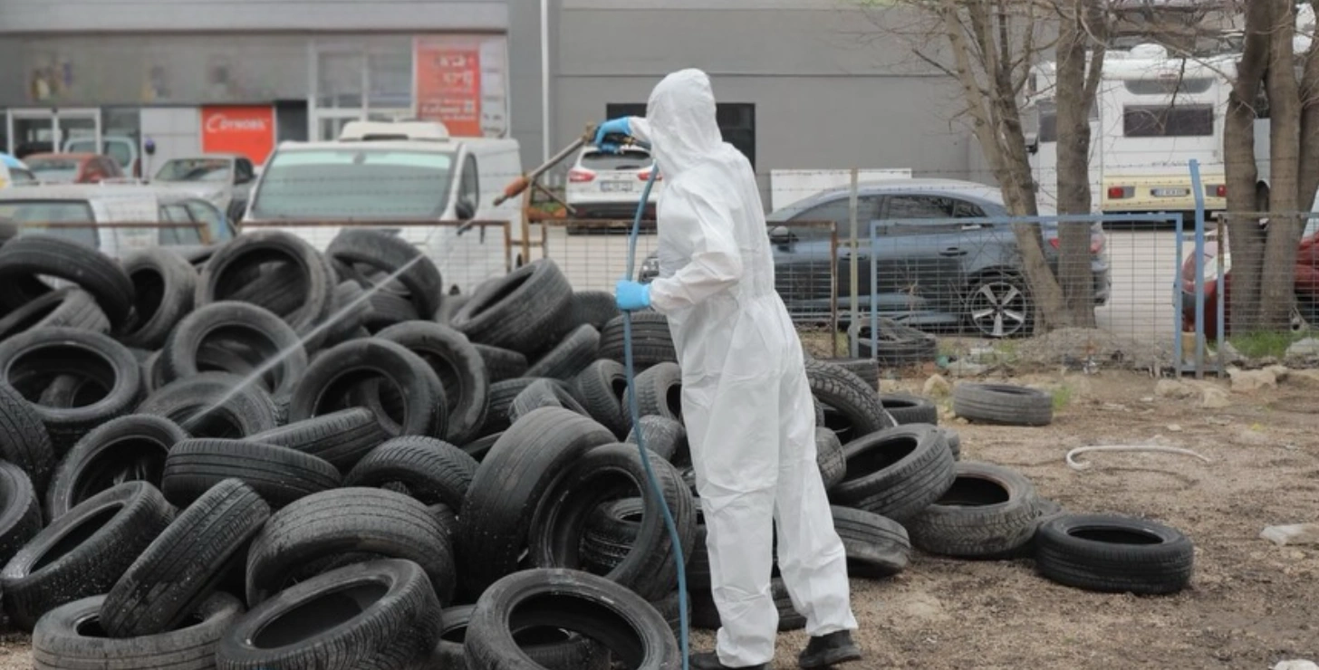 Edirne’de Haşereye Karşı Kış Taarruzu Taşkın Sonrası Alarm