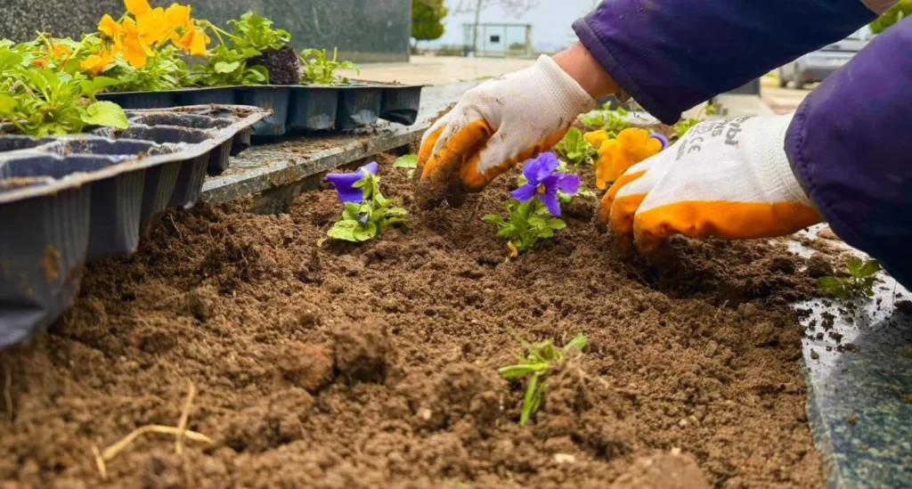 Marmaraereğlisi Belediyesi Park ve Bahçeler Müdürlüğü, ilçeyi bahara hazırlıyor! Peyzaj, park boyama ve yerel bank üretimiyle Marmaraereğlisi renkleniyor.