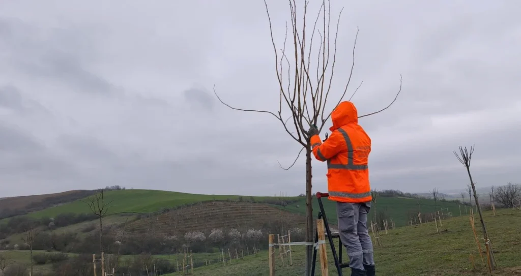 Muratlı Belediyesi ekipleri bahar temizliğine başladı. Fidan budama, yol onarımı ve personel bekleme kulübesi yapımı gibi önemli saha çalışmaları hız kesmeden devam ediyor.