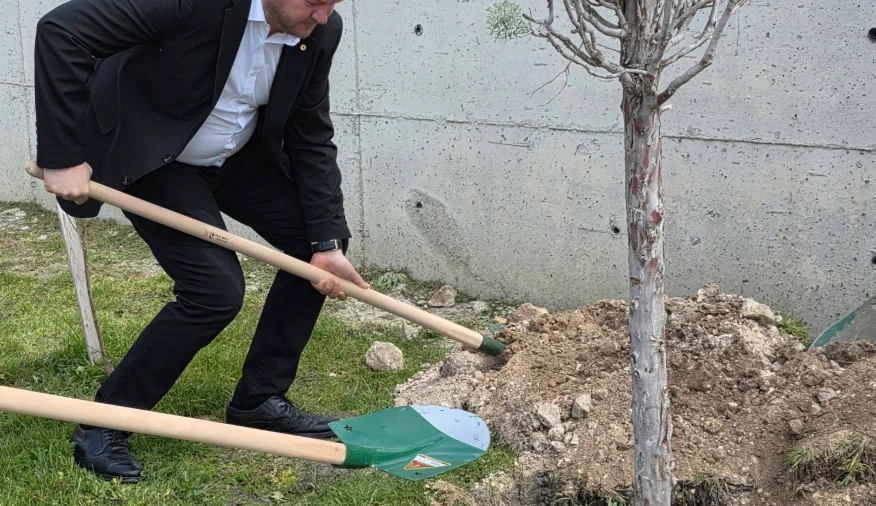 Pınarhisar'da anlamlı etkinlik! Kaymakam Enver Özderin ve hayırsever Hasan Kartal'ın katkılarıyla TOKİ Camii bahçesi fidanlarla yeşeriyor. Detaylar haberimizde.