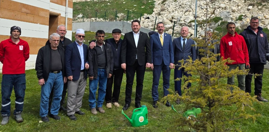 Pınarhisar TOKİ Camii Bahçesi Fidanlarla Yeşeriyor