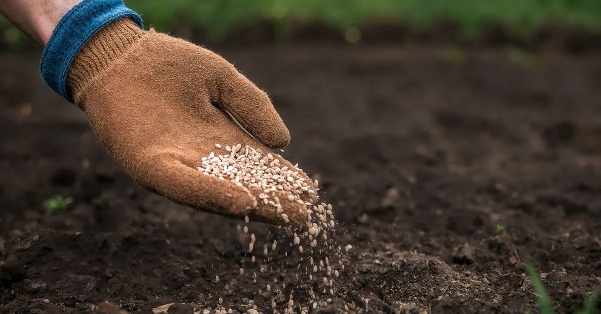 DMM’den “Gübre Krizi” İddialarına Kesin Yalanlama: “Stoklar Yeterli, Arz Güvenliği Tam”