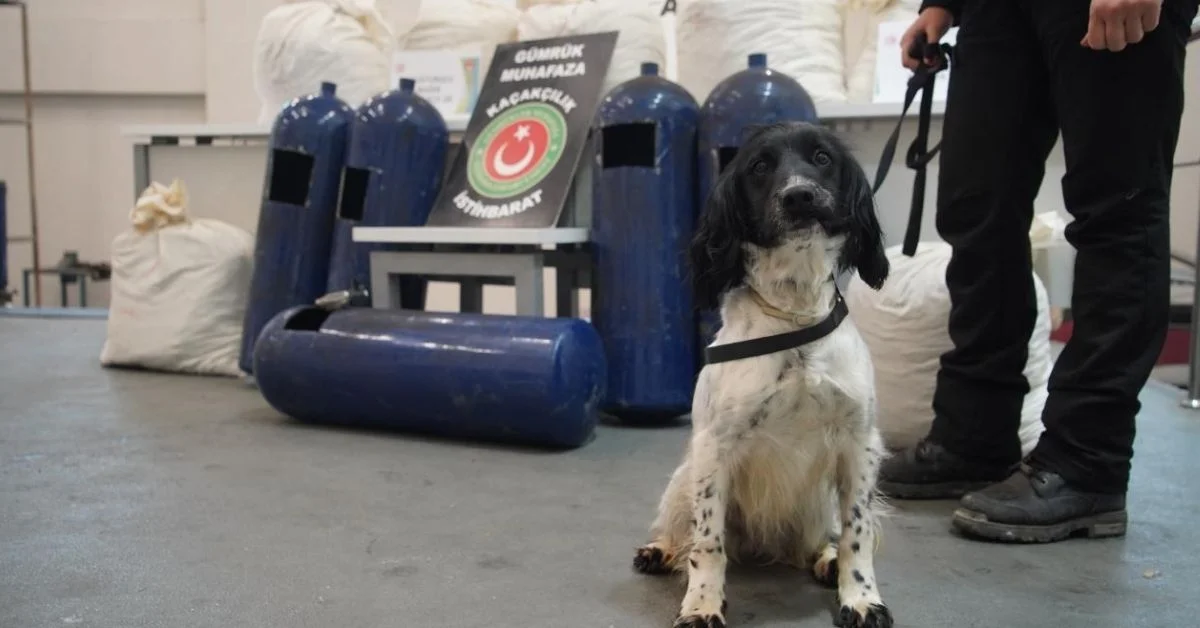 İpsala’da İda ve Rose Zehir Tacirlerine Geçit Vermedi