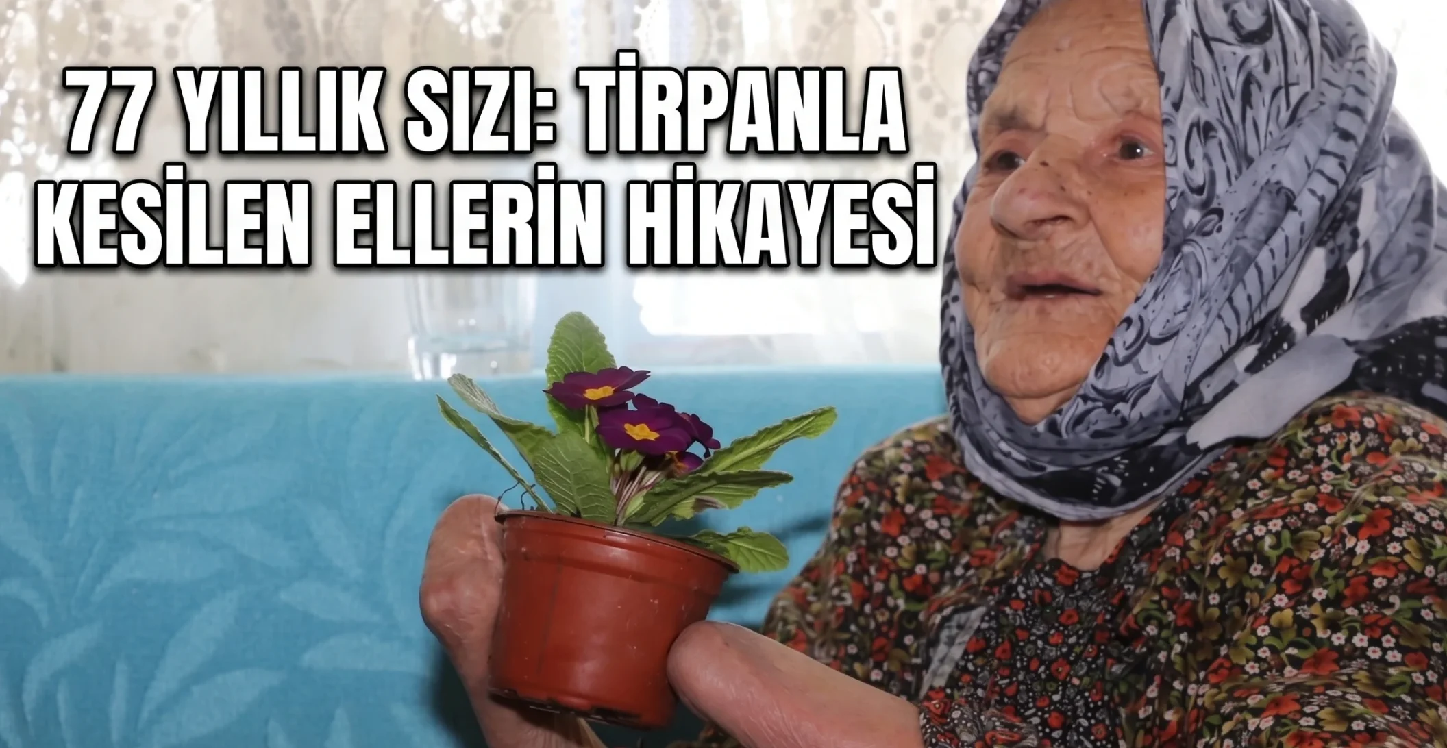 Ayşe Nine’nin 77 Yıllık Dinmeyen Sancısı