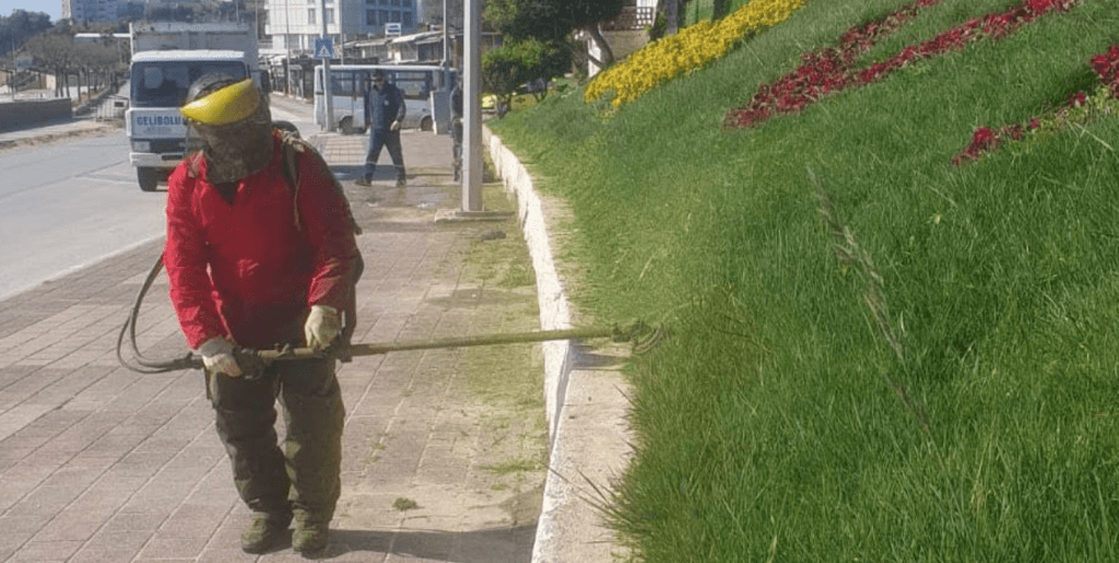 Gelibolu Belediyesi, kenti yaza hazırlıyor. Hamzakoy'dan sanayi yoluna kadar geniş bir alanda yürütülen çim biçme, çiçek bakımı ve ot temizliği çalışmalarının detayları haberimizde.