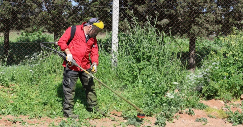 Gelibolu Belediyesi ekipleri, Miralay Şefik Aker Caddesi ve Hamzakoy gibi kritik noktalarda temiz su hattı, tretuvar ve parke taş çalışmalarına devam ediyor. Gelibolu Haberler
