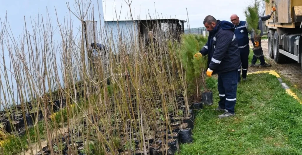 Keşan Belediyesi, Edirne'nin en büyük hayvan bakımevinde 2.950 fidanı toprakla buluşturuyor. Can dostlarımız için oluşturulan yeşil yaşam alanı hakkında detaylar haberimizde.