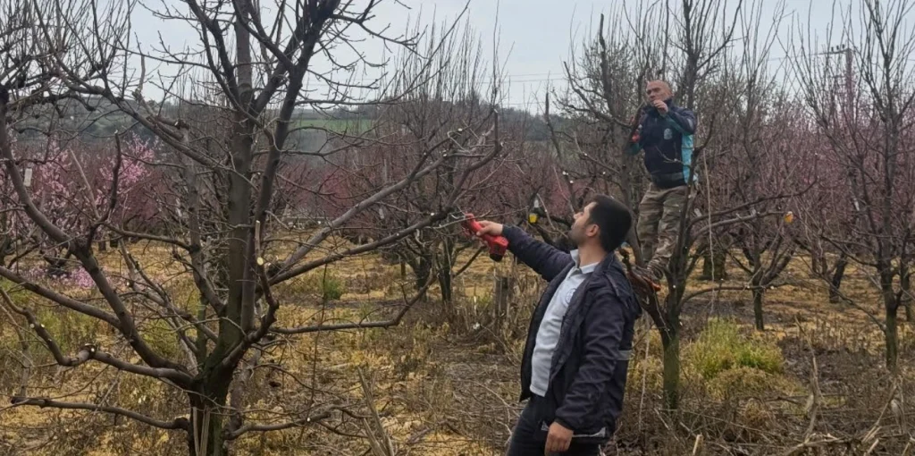 Lapseki Belediyesi tarafından yürütülen altyapı, yol genişletme, temiz su arıtma tesisi ve sosyal belediyecilik çalışmalarının detayları açıklandı. İlçe modern bir çehreye kavuşuyor.