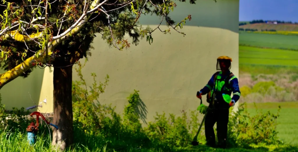 Marmaraereğlisi Belediyesi, Sabır Dede Türbesi'ni ziyaretçiler için modernize etti. Yol düzenleme ve peyzaj çalışmalarıyla manevi miras korunarak gelecek nesillere taşınıyor.