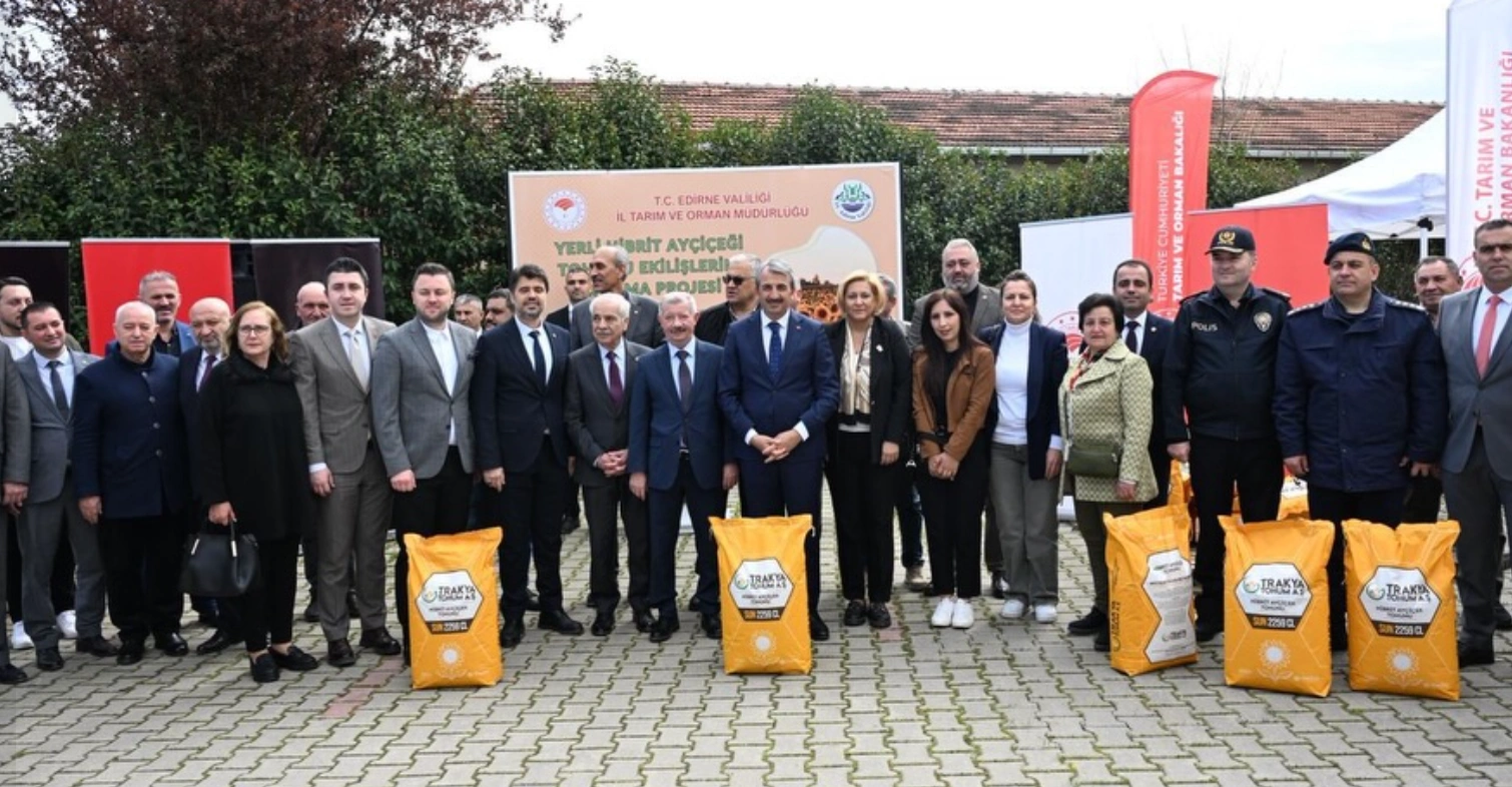 Edirne’de Yerli Hibrit Ayçiçeği ile Üretim