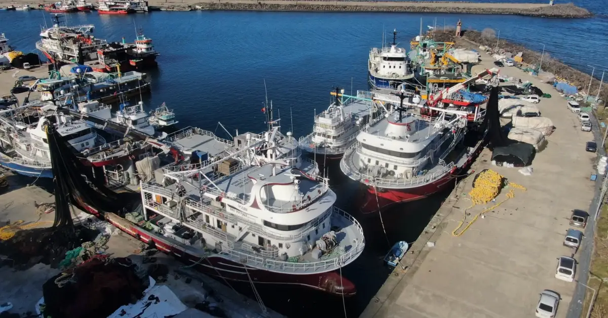 Karadeniz’de Ağlar Boş Kaldı: Balıkçılık Sezonu Hayal Kırıklığıyla Kapandı