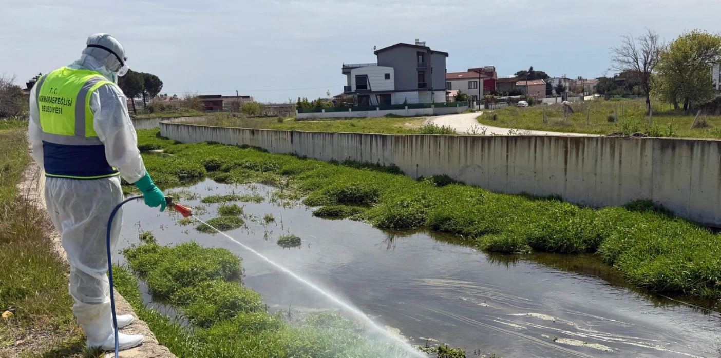 Marmaraereğlisi’nde Larvasit Seferberliği Başladı