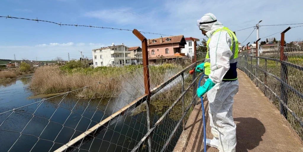 Marmaraereğlisi Belediyesi, durgun su ve dere yataklarında larvasit ilaçlama çalışmalarına hız kesmeden devam ediyor. Yaz sezonu için halk sağlığı önlemleri artırıldı.