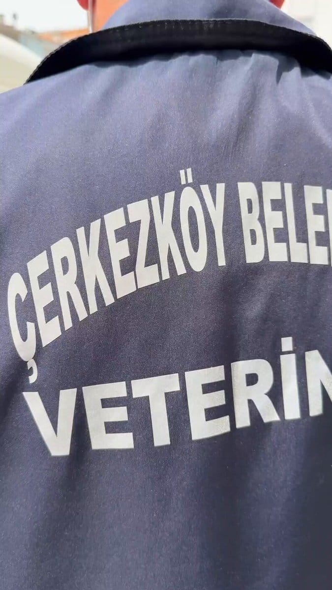 Bahar Tehdidine Kene İlacı: Çerkezköy’de İlaçlama Seferberliği