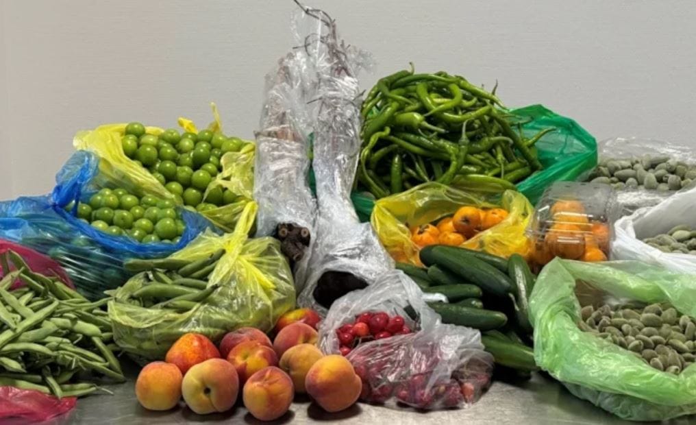 Almanya’da Gurbetçi Çiftin Valizinden 60 Kilo Meyve Çıktı