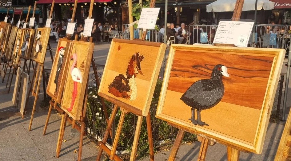 Bandırma’da Kültür ve Çevre Festivali Coşkusu