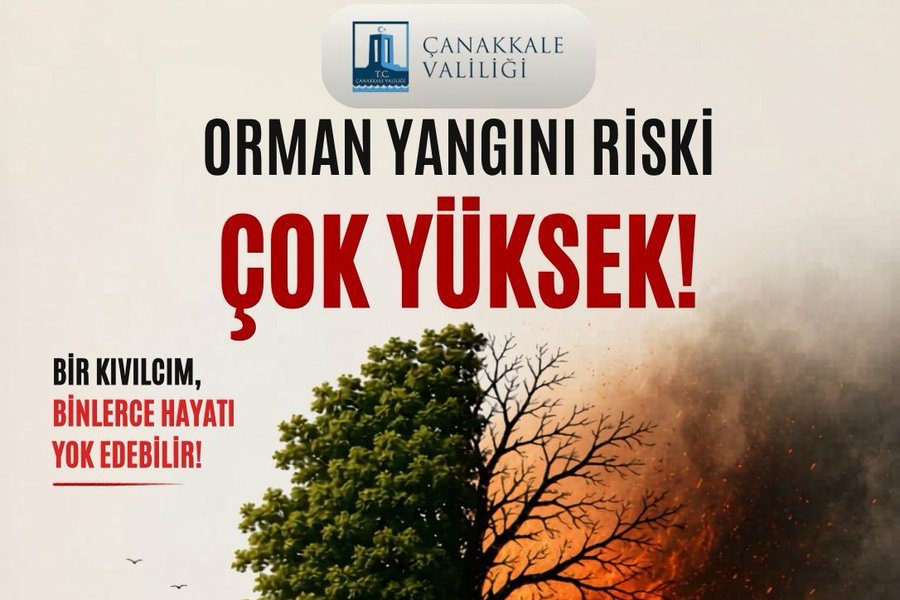 Ormanlarımızı Korumak İçin 5 Altın Kural