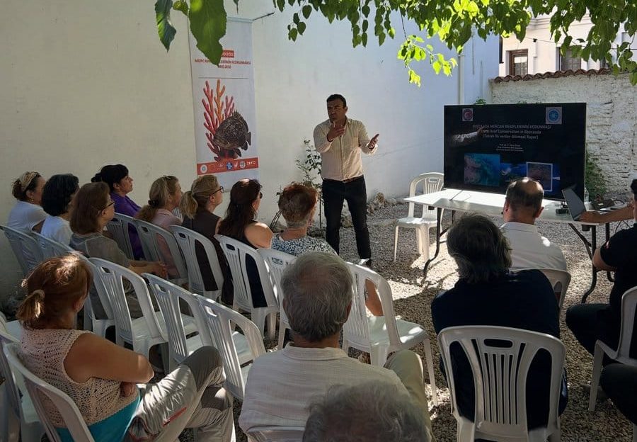Bozcaada’nın mercan resifleri tehlikede: Bilim insanları harekete geçti