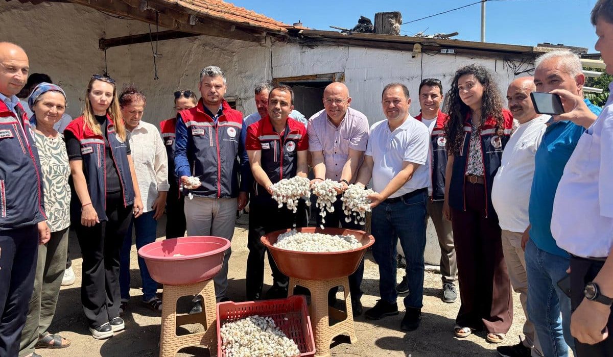 Edirne’de Beyaz Altın Hasadı Tamamlandı