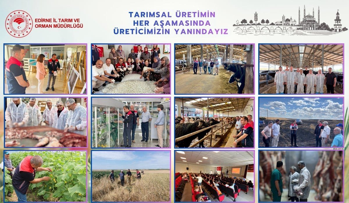 Edirne’de üreticiye tam destek: Tarladan sofraya güvenli gıda