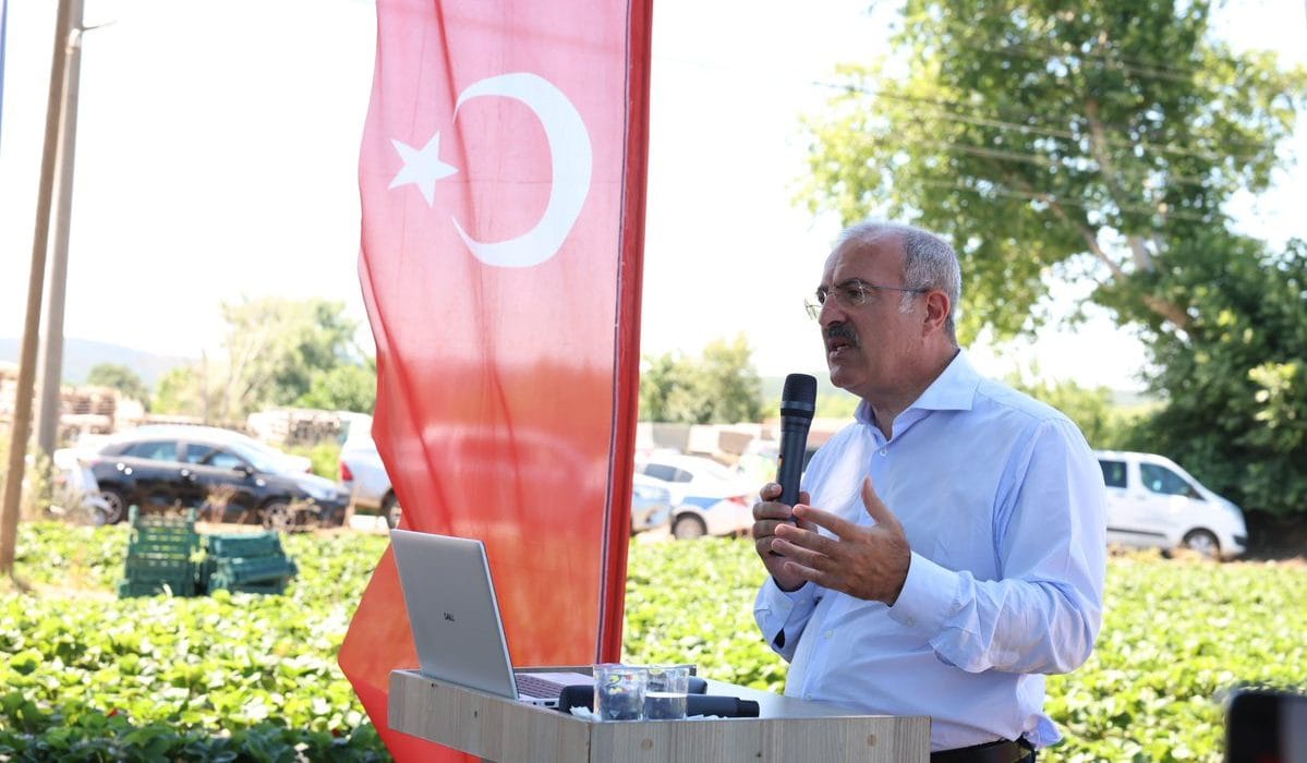Çilek Hasat Şenliği Yenice’de Coşkuyla Kutlandı