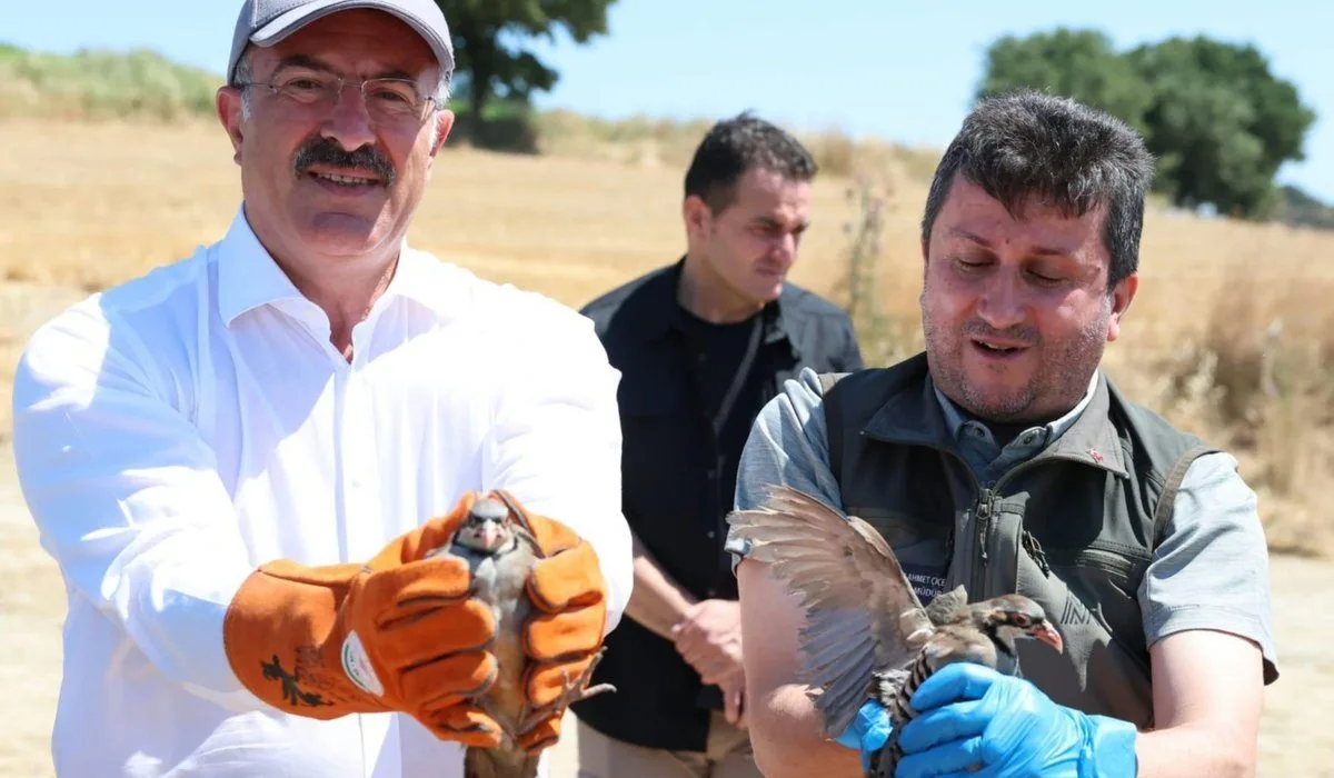 Çanakkale’ye 1.000 Kınalı Keklik Salındı