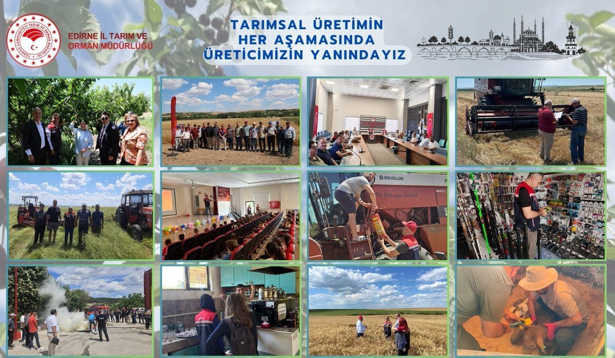 Tarladan Sofraya Güvenilir Gıda İçin Sahadayız