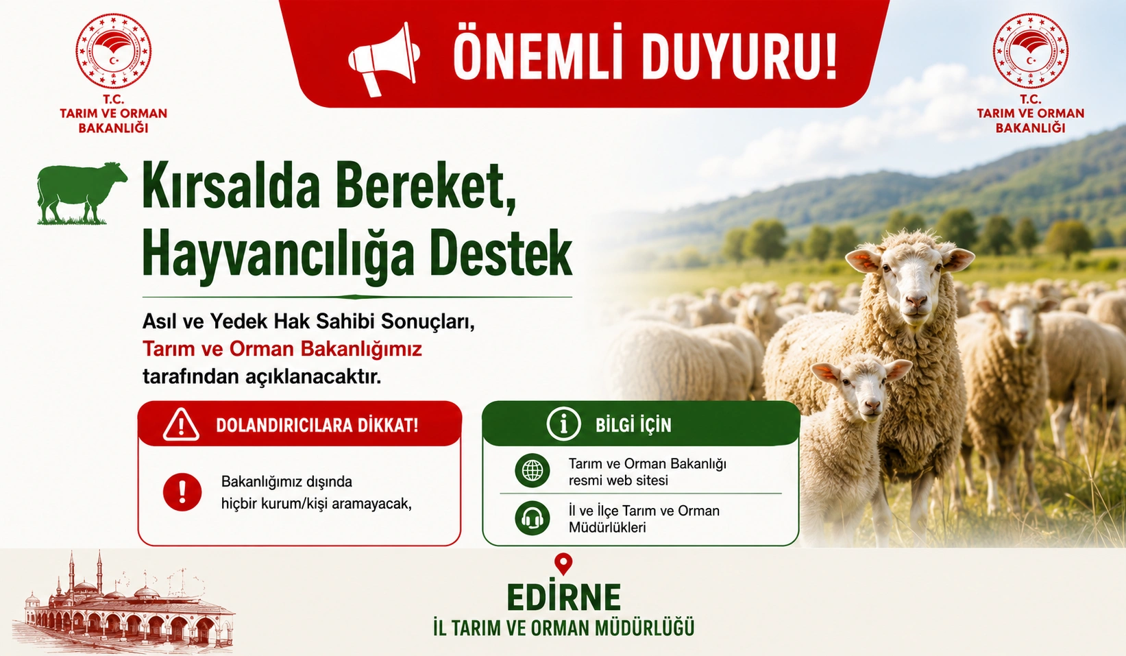 Küçükbaş Destek Sonuçları: Dolandırıcılara Dikkat!
