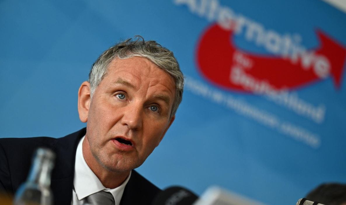 AfD’den Türklere ‘Ülkenize Dönün’ Çağrısı