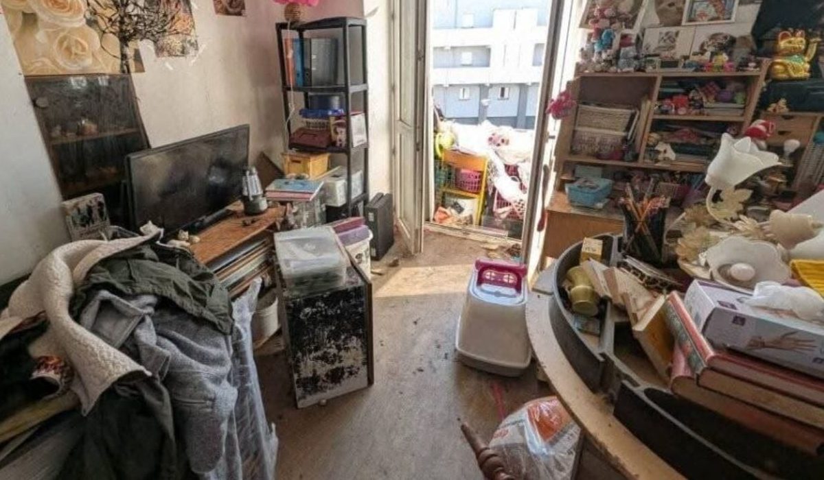Fransa’da 400 Kedi Cesedi Bulunan Kadına 1 Euro Ceza