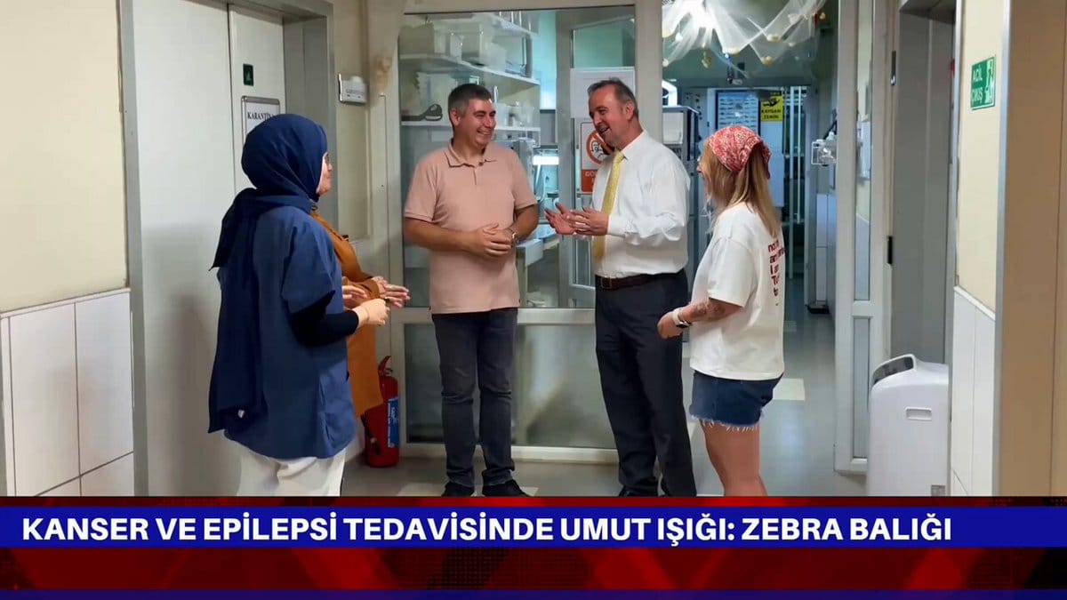 Zebra Balığıyla Kanser ve Epilepsiye Yeni Umut