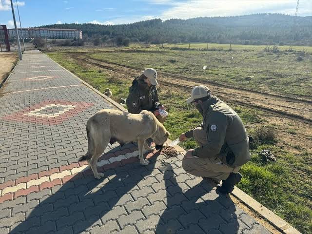 Edirne’de Hayvan Koruma Kurulu Toplandı